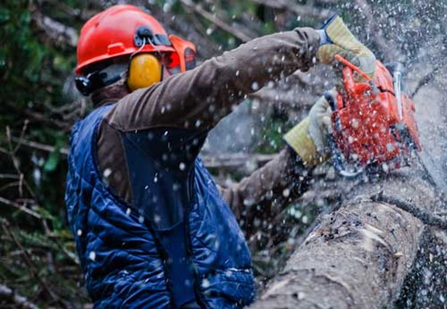 Structural Pruning