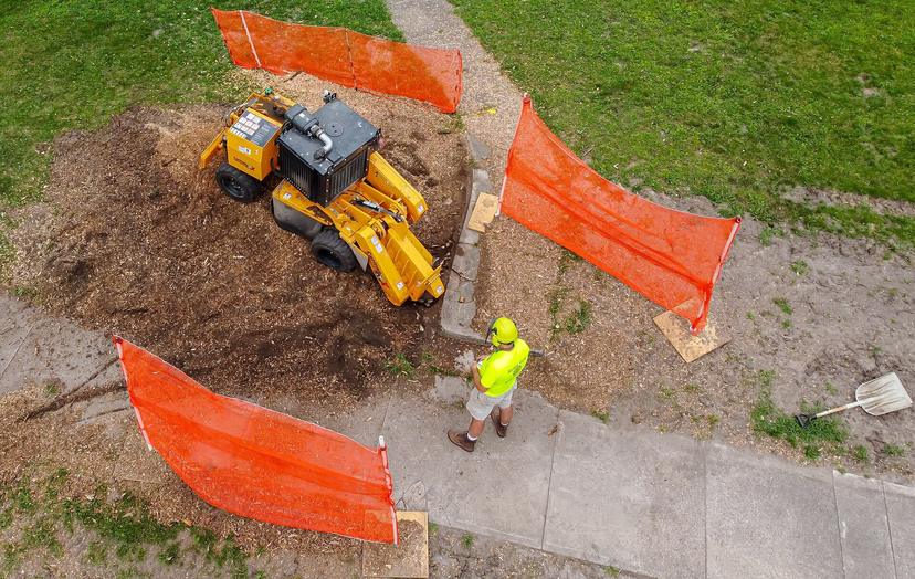 Stump Grinding