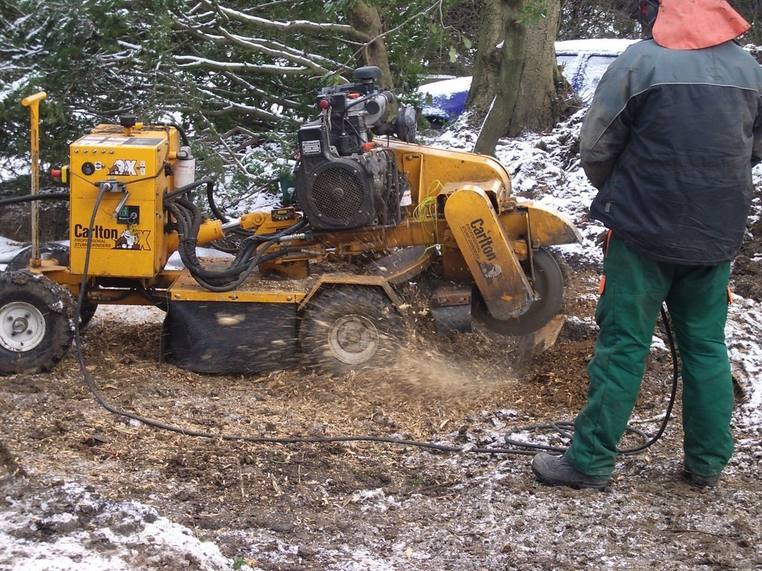 Stump grinder in operation